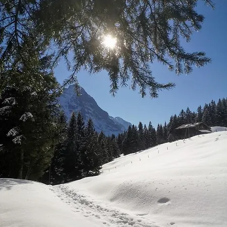 Gornerhaus アパート *