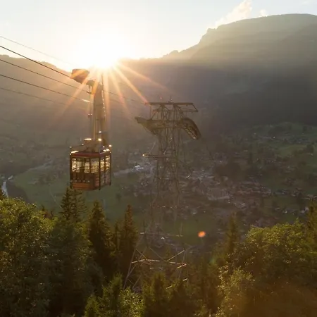 Apartment Gornerhaus *