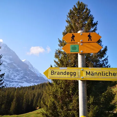 Gornerhaus アパート