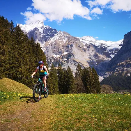 Gornerhaus Lejlighed Grindelwald