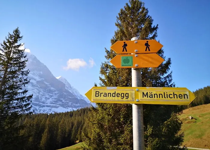 Gornerhaus Appartamento