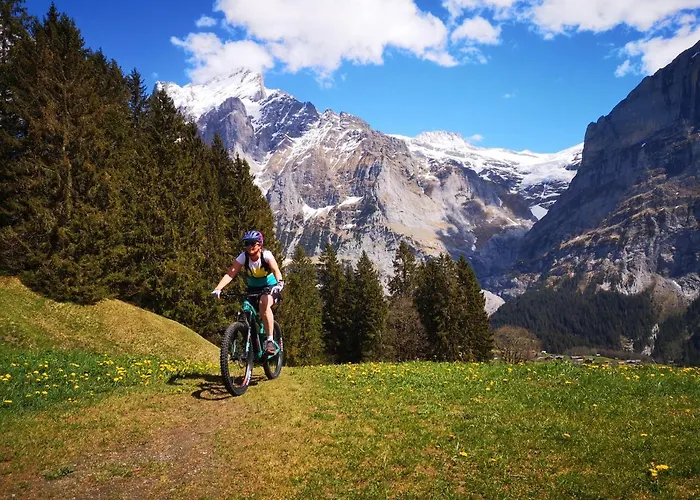 Gornerhaus Daire Grindelwald